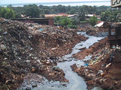 The Impact of The Use of Detergents in The Life